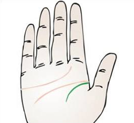 ���������࣬����������ʲô����