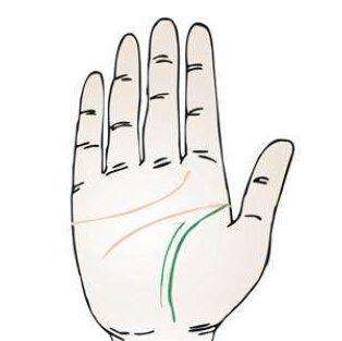 �����߶������Ͷ���