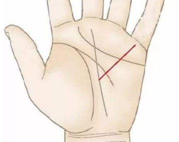 û����������߾�û�в�����