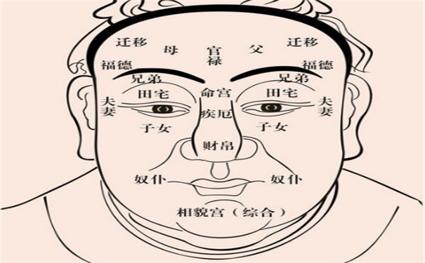 公主命面相
