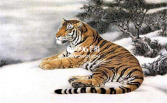 �������ҵ�гɵ���Ф��˵�������������