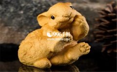 �һ��˺õ���Ф������Ե�ܺ�