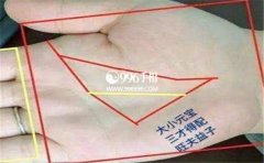 ��Ҫ���������������ƺã��ͶԴ˻ӻ��޶�