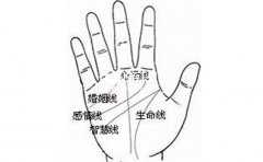 ���������������Ƶ�Ӱ��