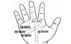 ˵˵���������߶��Լ������ߵ�����