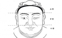 �沿��ͣ����͸¶����������