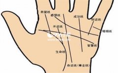 ��ʦ���߽������ŵ�����ͼ�����