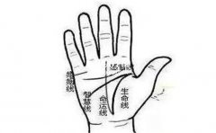 �������ŵ����࣬���к������