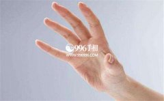 ʳָ�����������治�٣�ÿһ�����������ض���Ԣ��