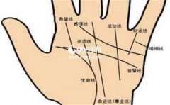 ��������߽�����ȫ��֪������Ӧ�ò���