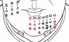 �����沿����ͼ�⼪�׷���