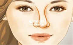 �����������������࣬�˽�һ�������ڰ���ʶ��