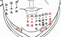 ������ο��׶�����