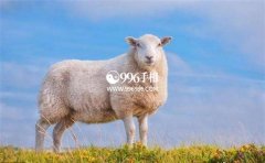 ��Ф���б���������䣬ʵ���������и�ů¯