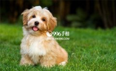 ��Ф��Ůϲ��һ���˵ļ������֣�ÿһ�����ǳ�׼