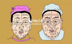 Ů���沿������׼ͼ ������Ů�����������