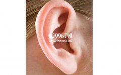 ���ֲ�ͬ�Ķ���������������䱩¶���������