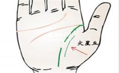 ������������߶Ͽ������˽����