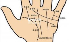 �Ͻ��ĵ�������������Щ���˸�����ȡ�óɹ�