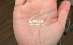 ������ѧ����ʲô�ǲ���������������