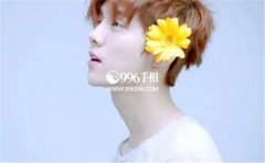 �������е�������ʲô����