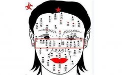 ����һ���볤��������Ƕ��������