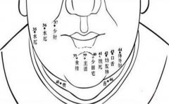 �����ϵ���Щ���ǻ᳤�ٵ�����