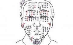 ���ٵ��������Щʲô��������