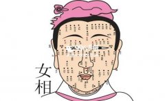 �����·�Ͷ̥���룬���ͨ���������࿴����