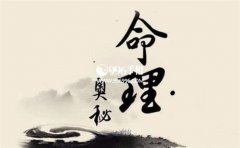 һ������Ǯ������Ф����������