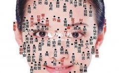 �������������µ�������࣬����ò�