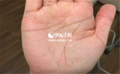 һ���и�����������˻���ʲô����������