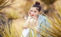 �����õ�������ʲô������