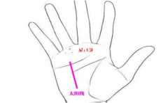 ����������ô��