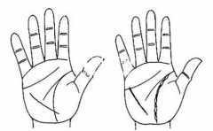 ���Ʋ�������ô��