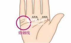 ������ο����������