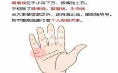 ���˻��᲻����쿴�����֪��