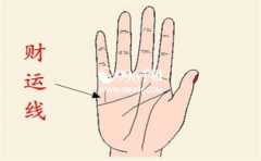 ������������ô������