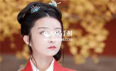 �������� ��ü���ǲ��õ�������