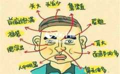 ��������������Щ