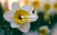 ��������������ô������