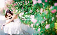 ���࿴���� ����Ĳ��˺ò���