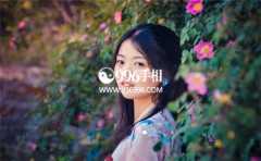 �Ѹ��������ļ���