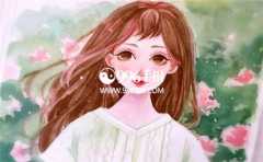 ����������ò���