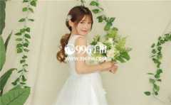 ����������ķ���