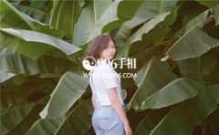 �̱ǵ������������