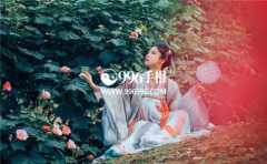 ���۴���Ů�������һЩ˵��