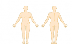 �������������Ը� һ����֪����������