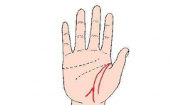 ��ô����û�в��� �Ӽ������漴��һ�ۿ���