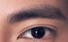 �����üë���� һ���˵�������ʲô���� 